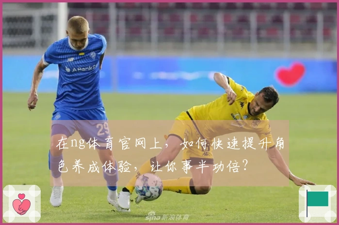 在ng体育官网上，如何快速提升角色养成体验，让你事半功倍？